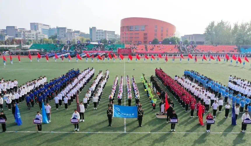 小学生篮球器材用法