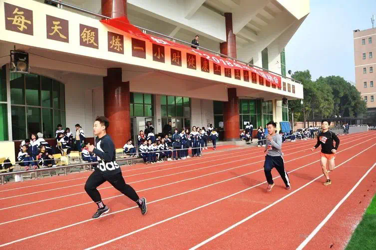 网球拍训练器怎么不花钱